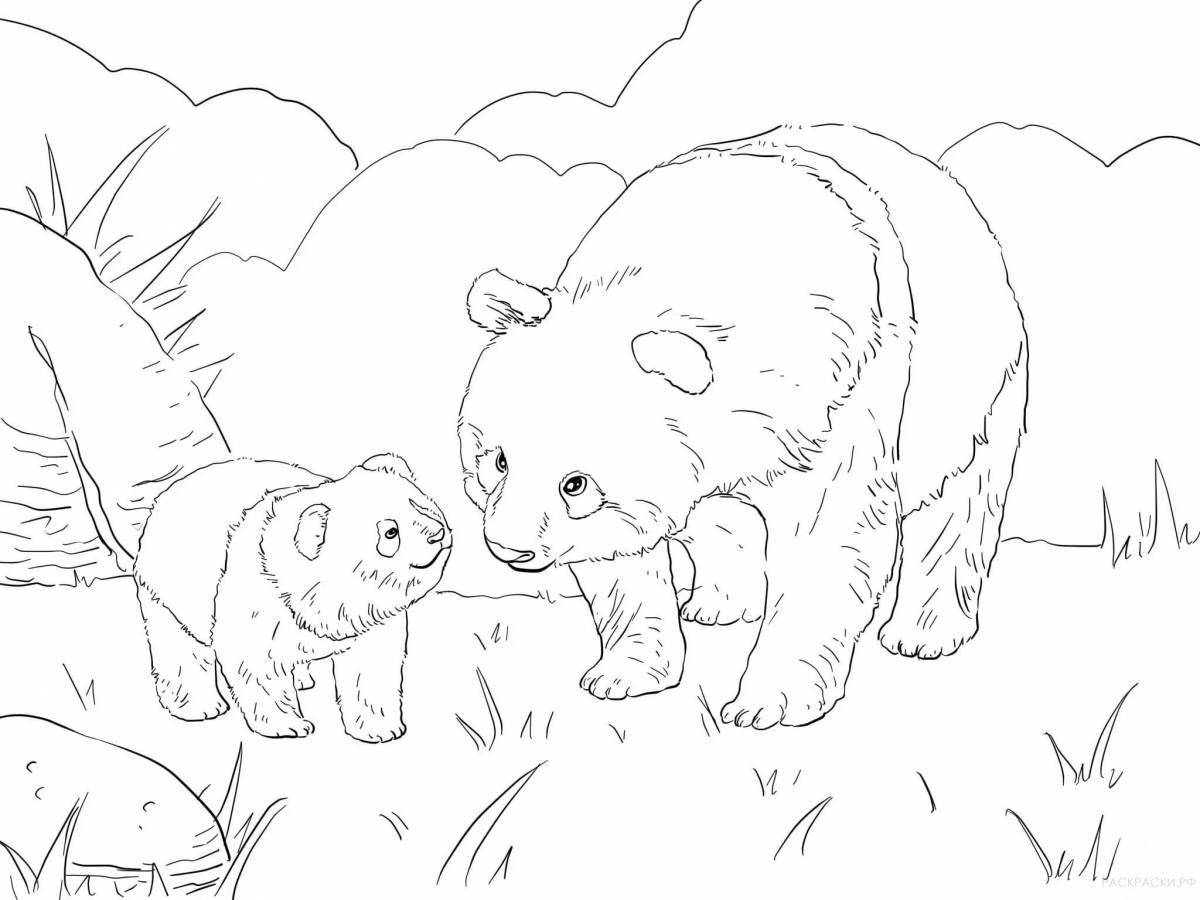 Coloring book gorgeous teddy bear with cubs