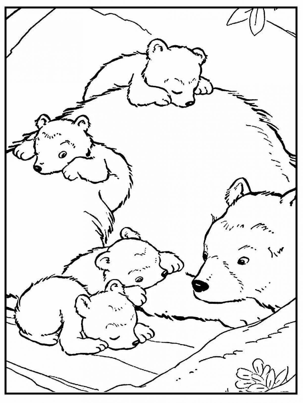Раскраска славный медведь с детенышами
