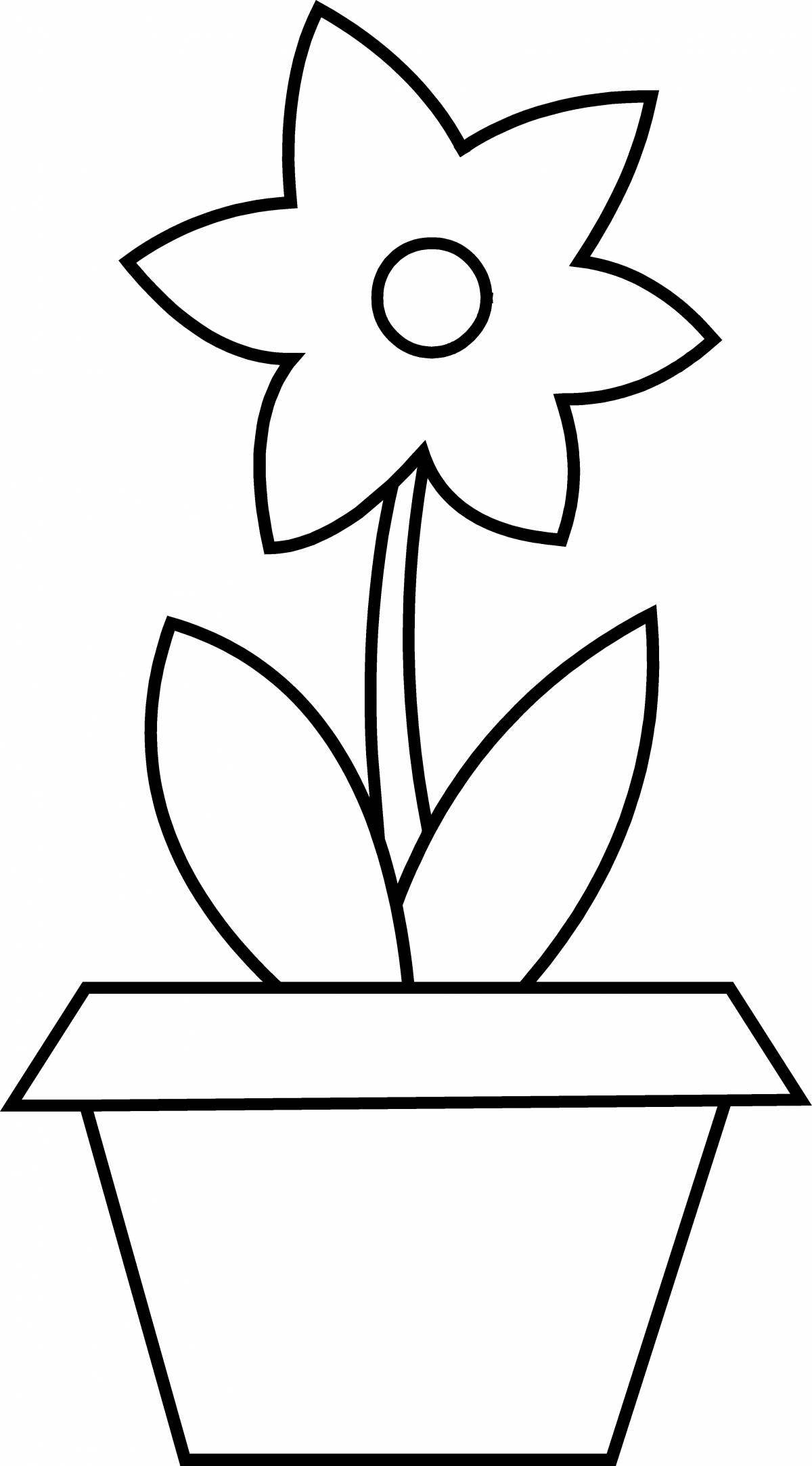 Exquisite flower pot coloring book for children