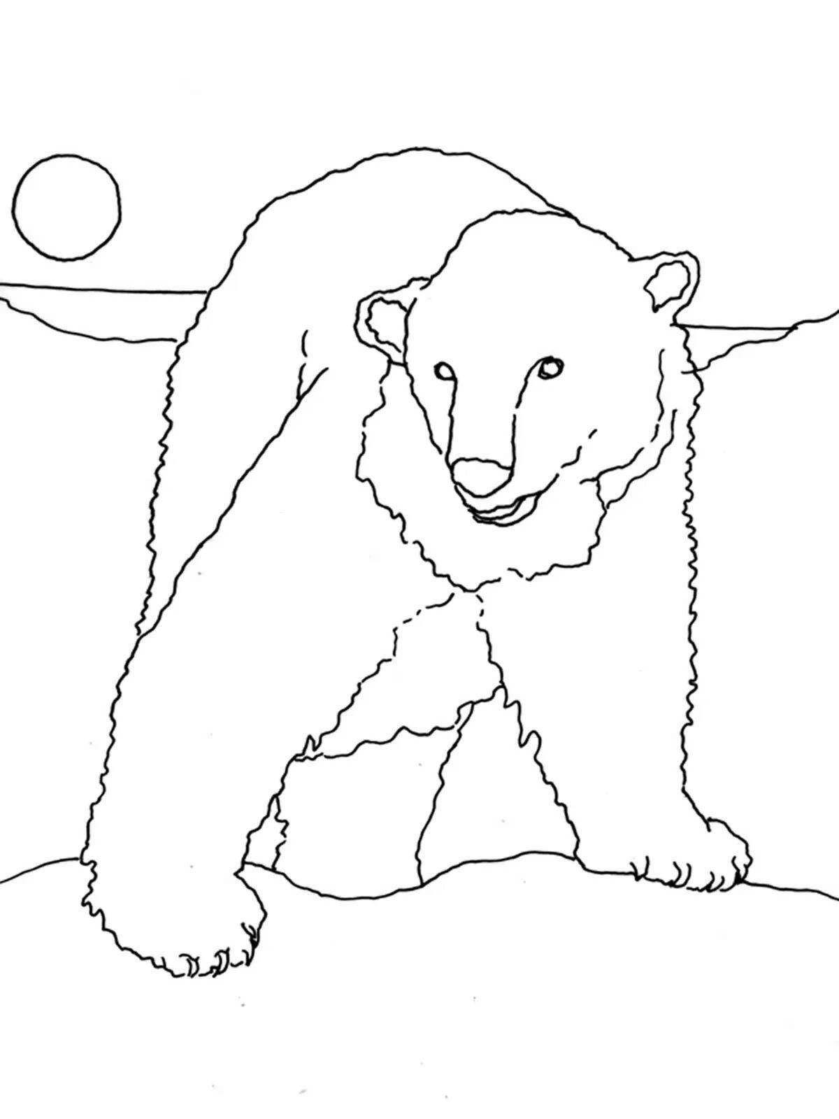 Charming bear in the north coloring book