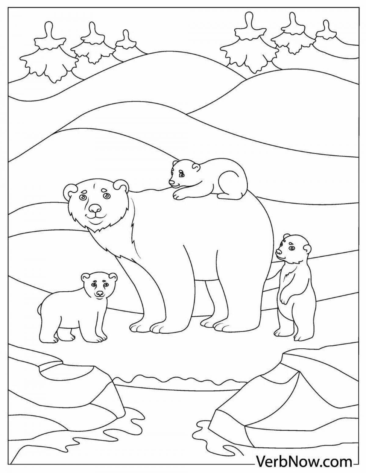 Photo Coloring book exquisite bear in the north