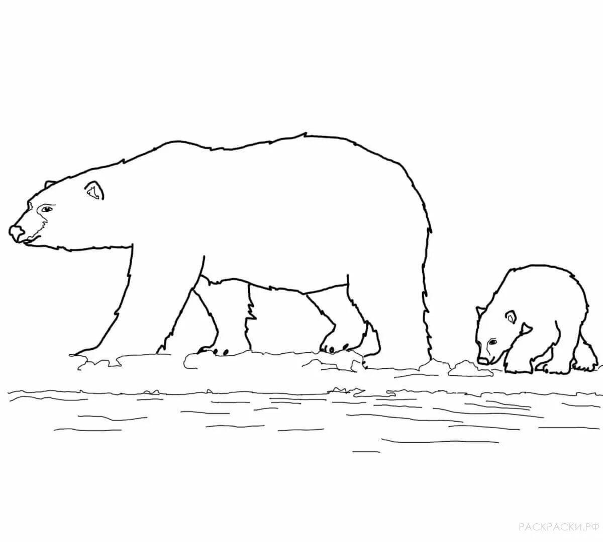 Photo Coloring page amazing bear in the north
