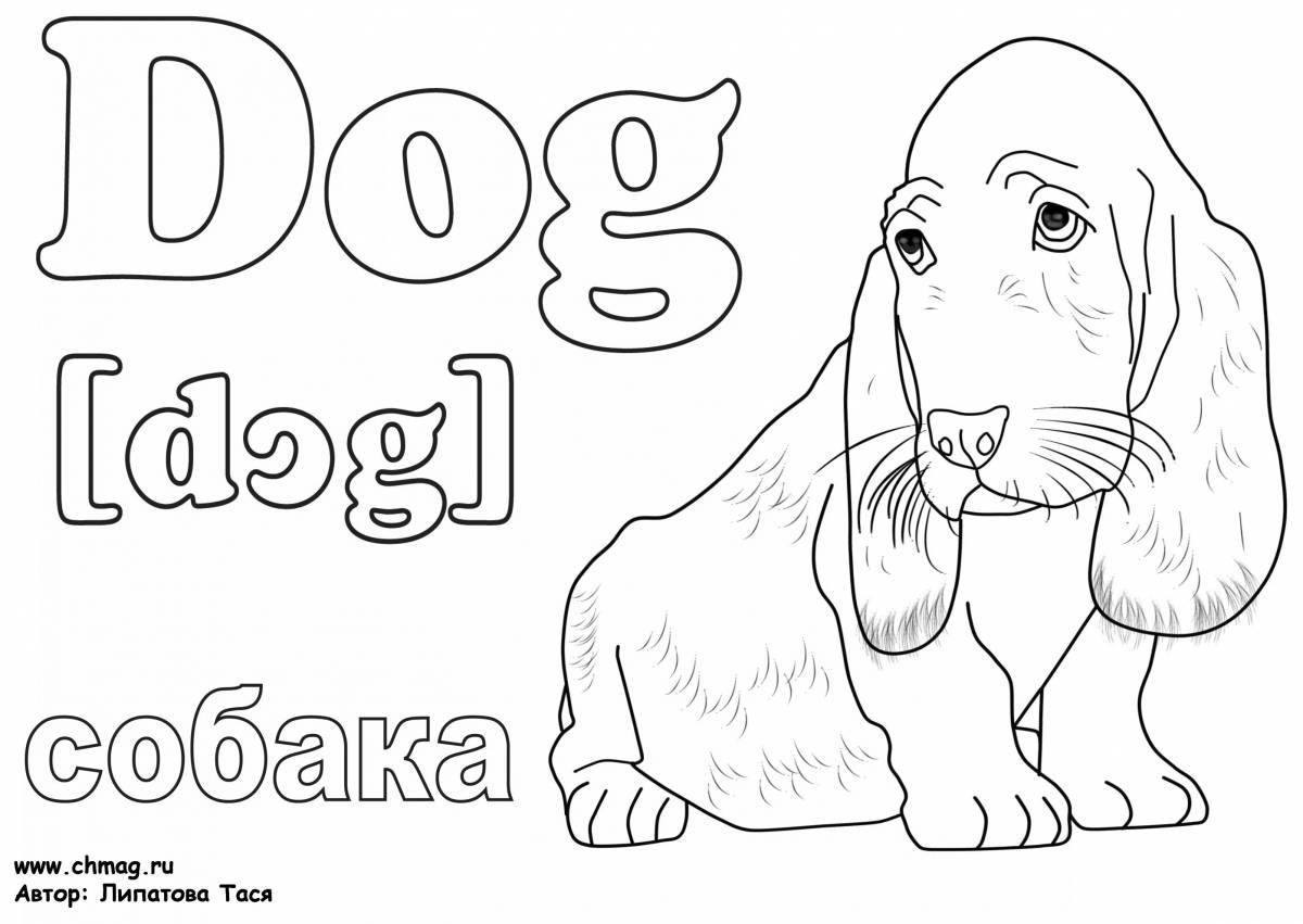 Fun English animal coloring book for kids