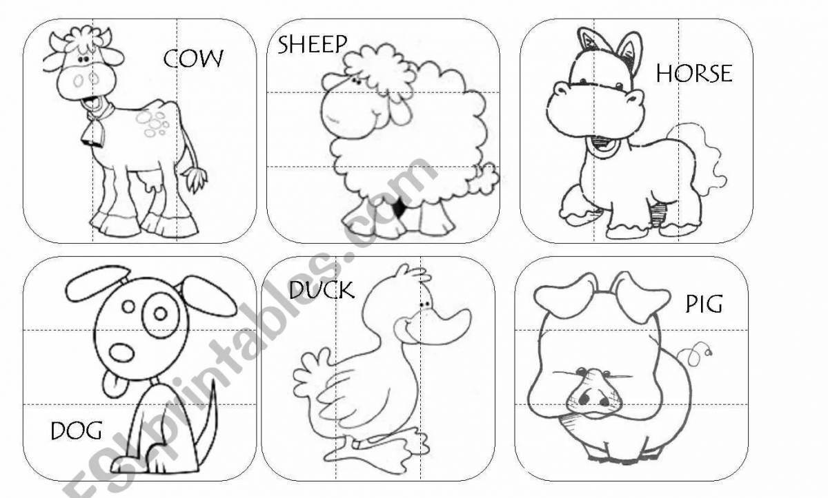 Cute english animal coloring book for kids