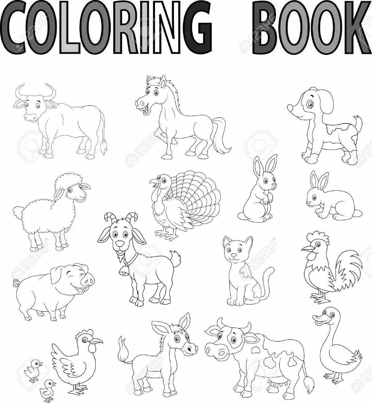 Adorable English animal coloring book for students