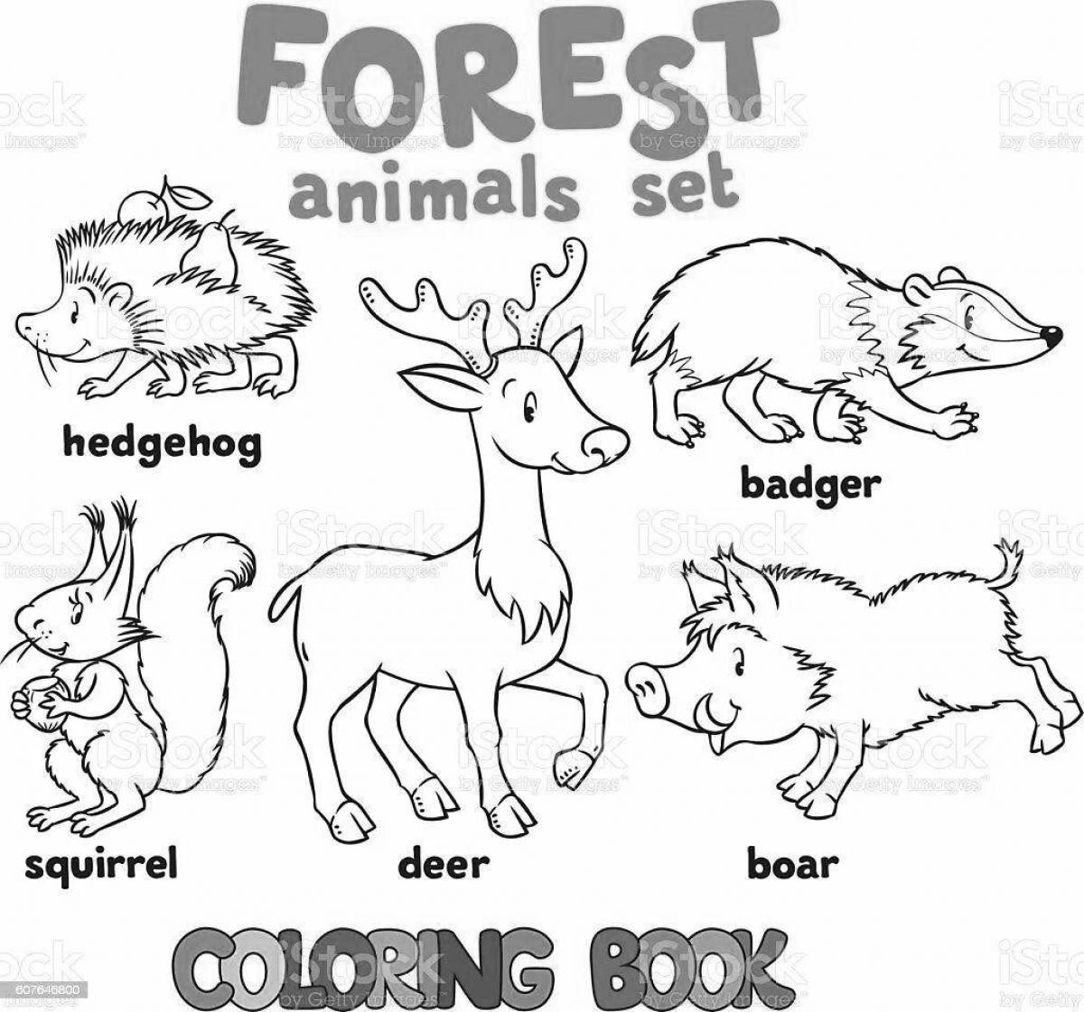 Wonderful English animal coloring book for schoolchildren