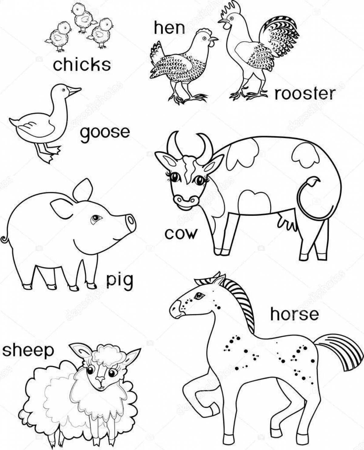 Perfect english animal coloring page for babies