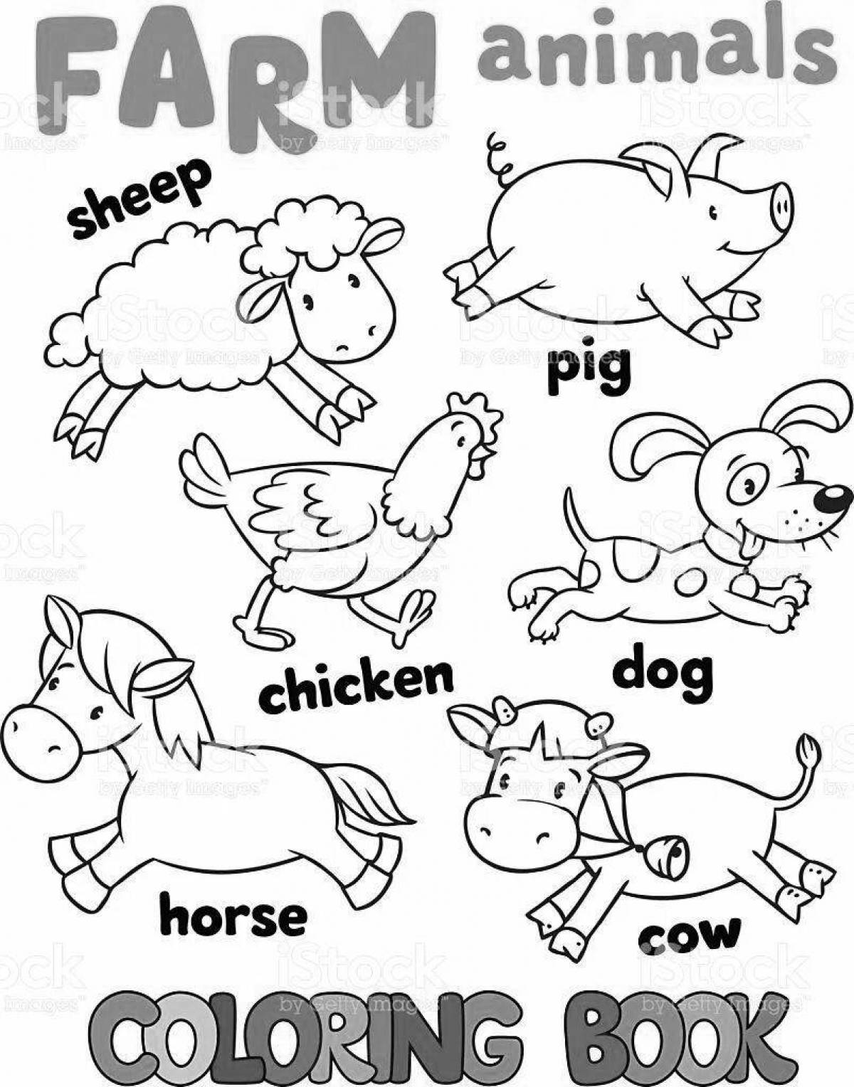 Great English animal coloring book for beginners