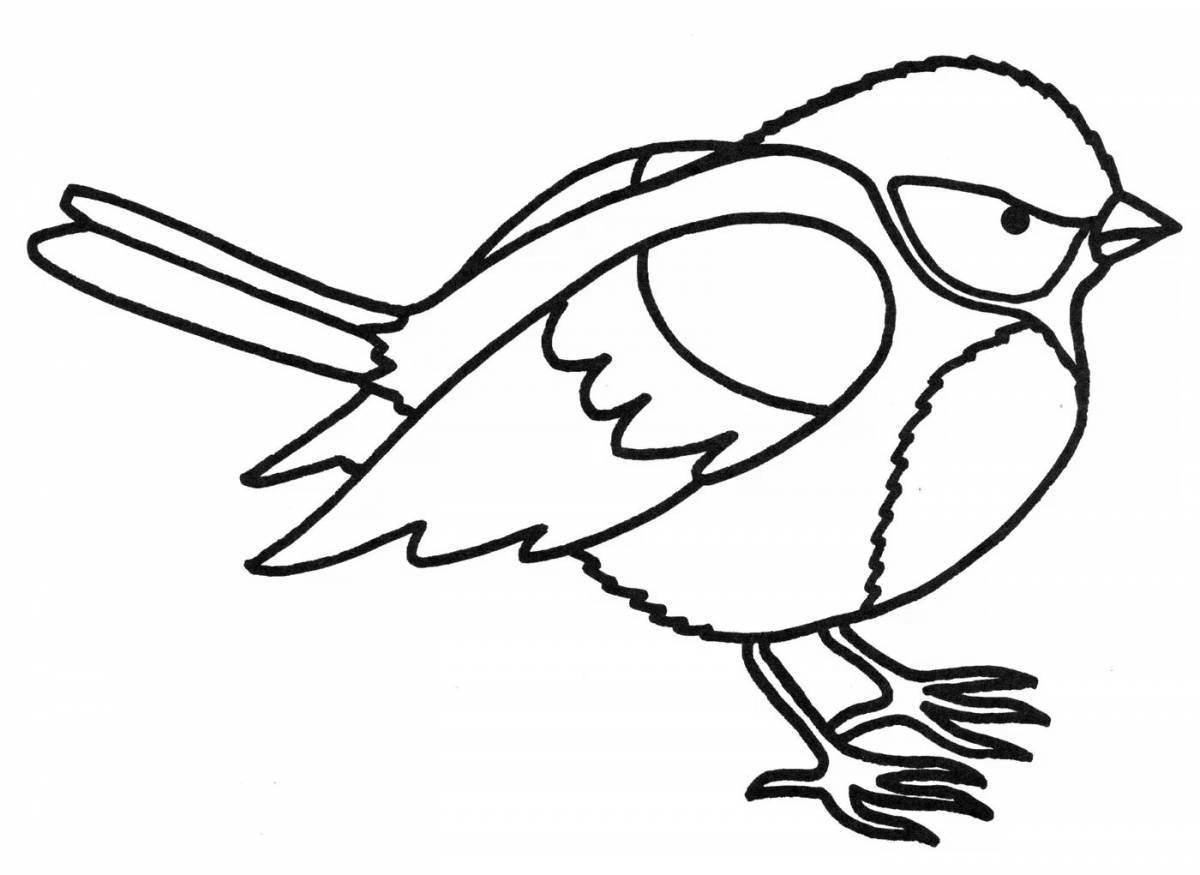 Adorable bird coloring book for kids