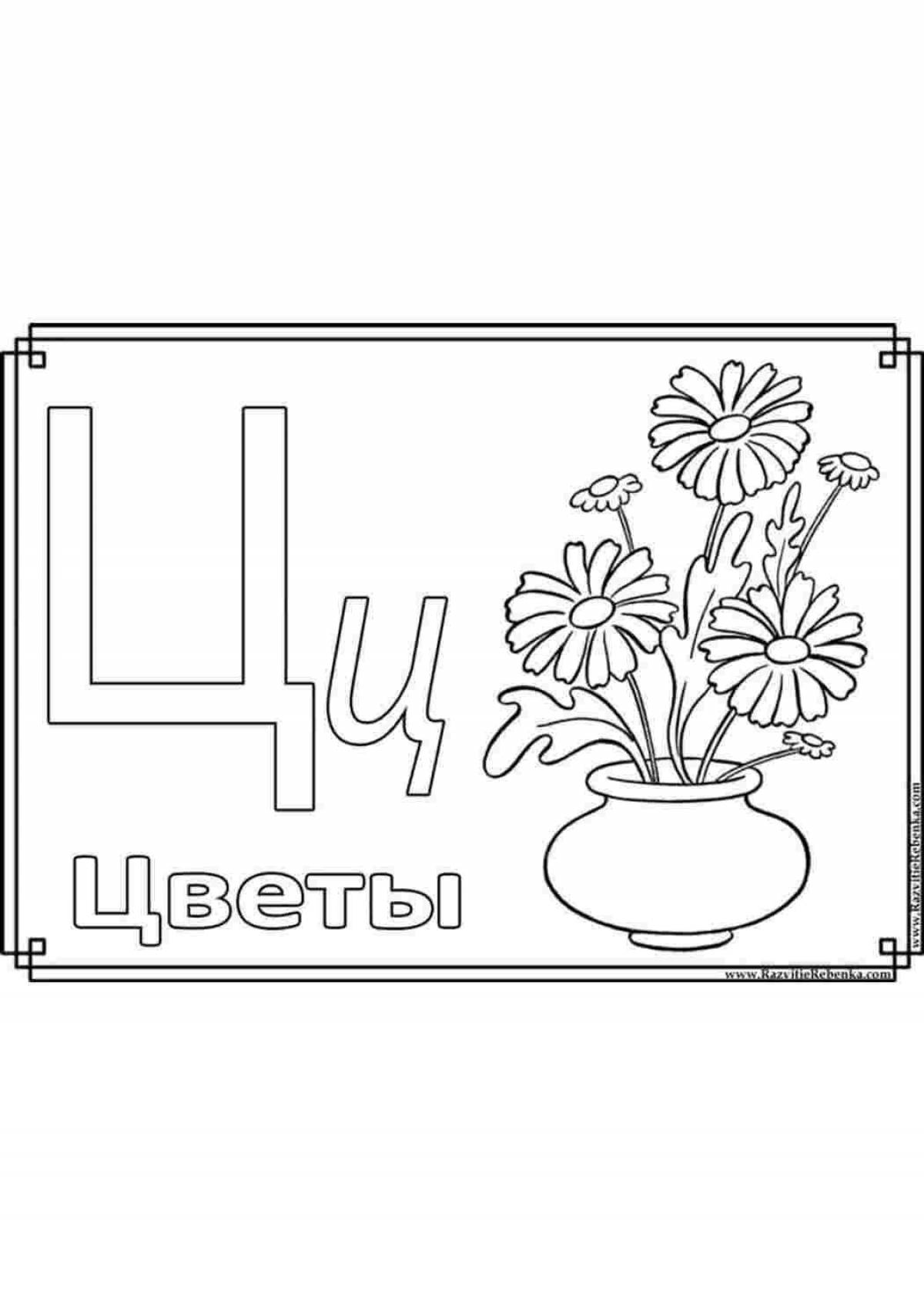 Attraction c for first graders