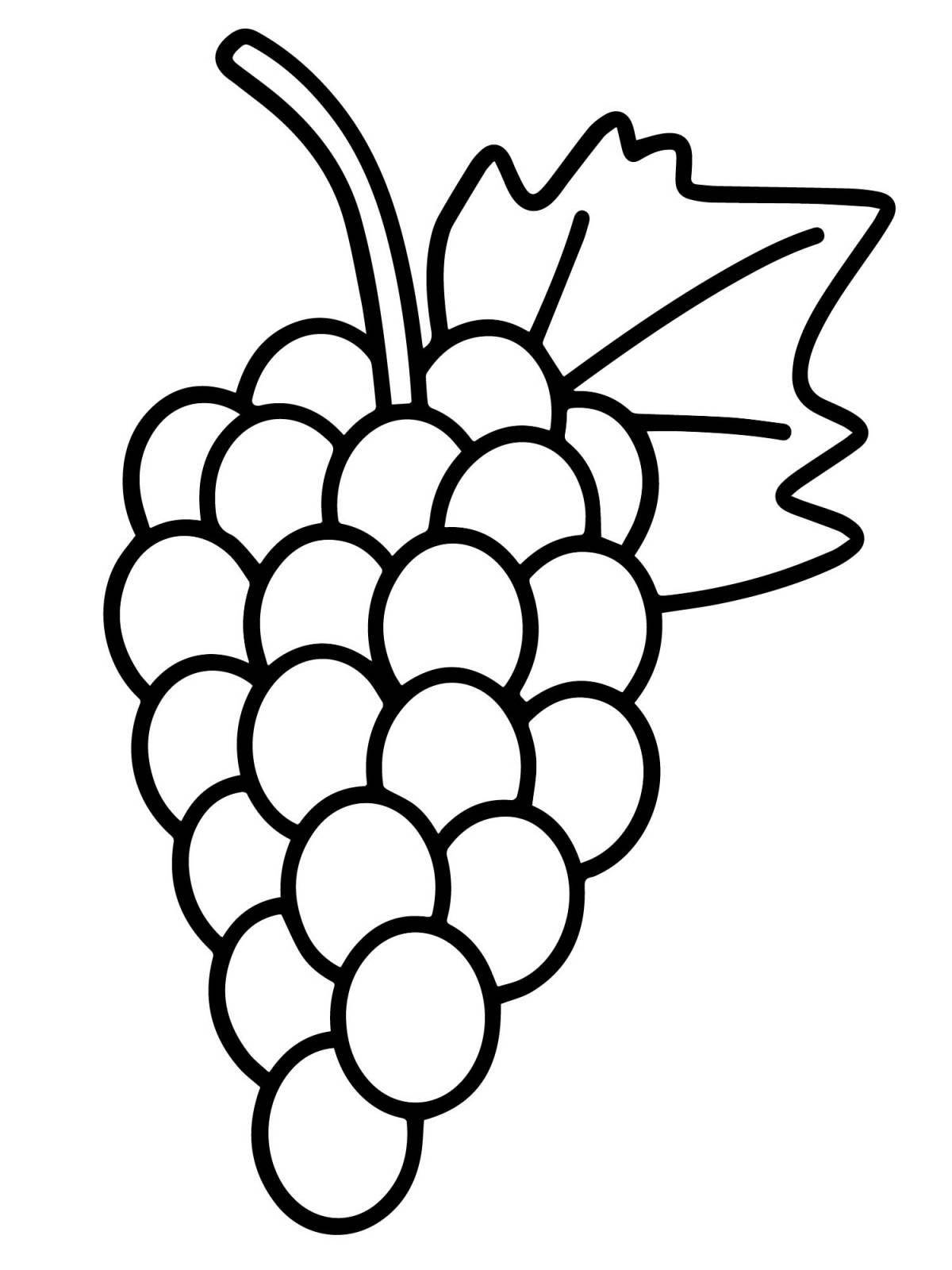 Colorful grape coloring page for 5-6 year olds