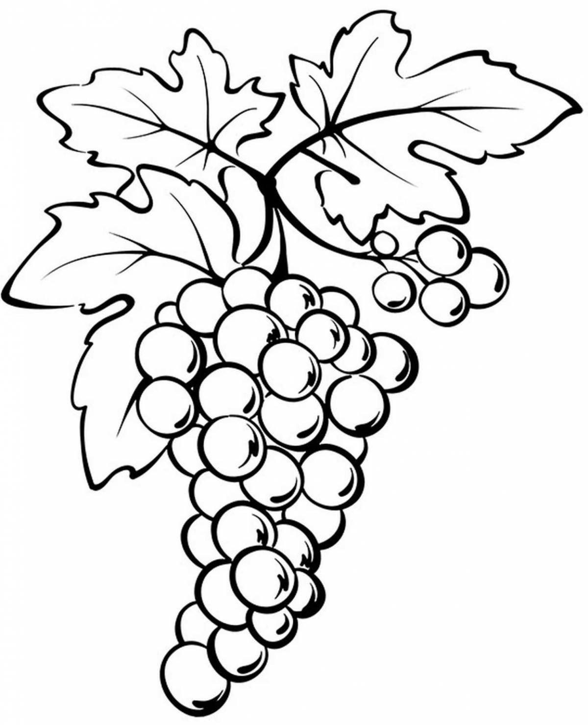 Яркая страница раскраски винограда для детей 5-6 лет