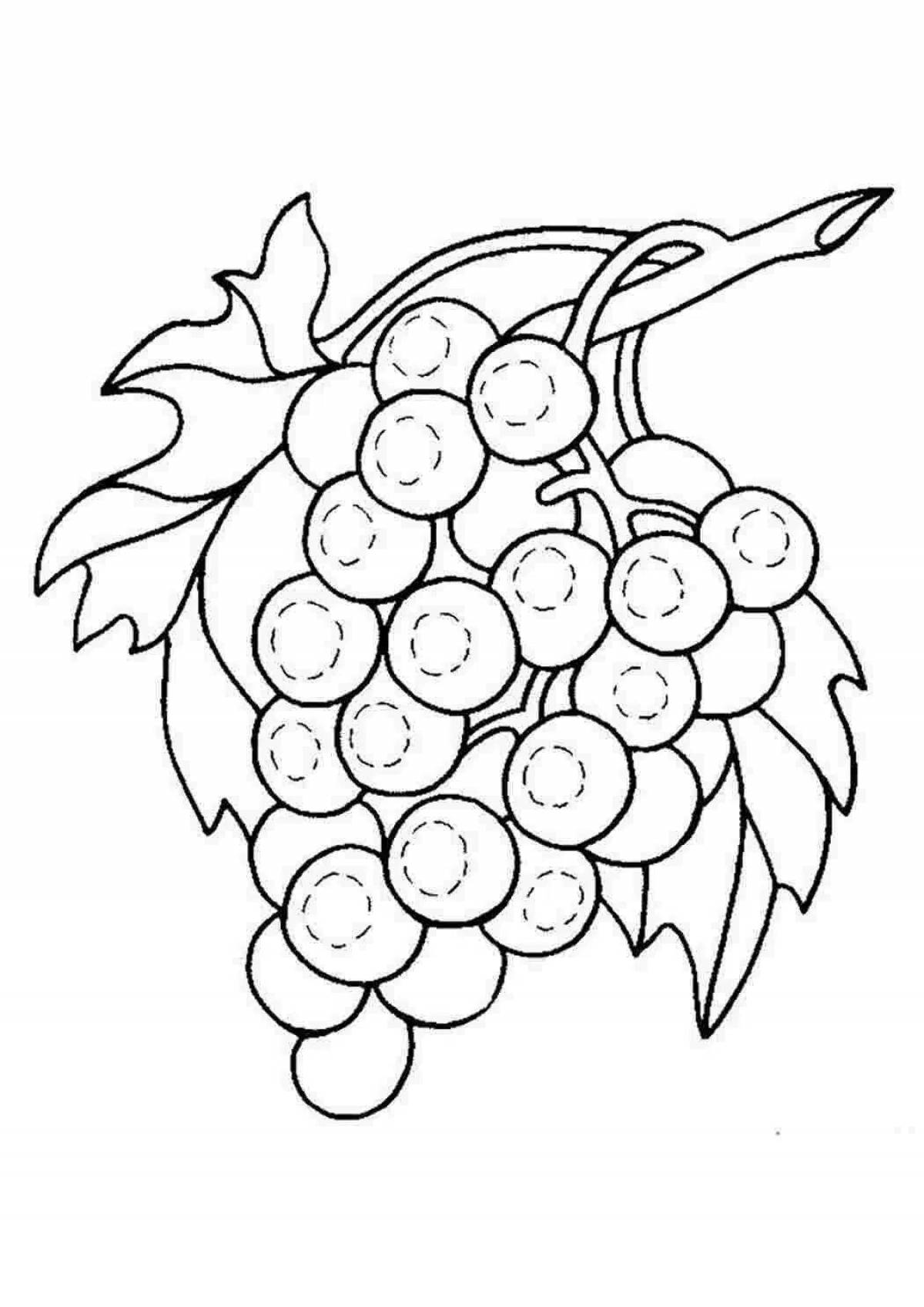 Игривая страница раскраски винограда для детей 5-6 лет