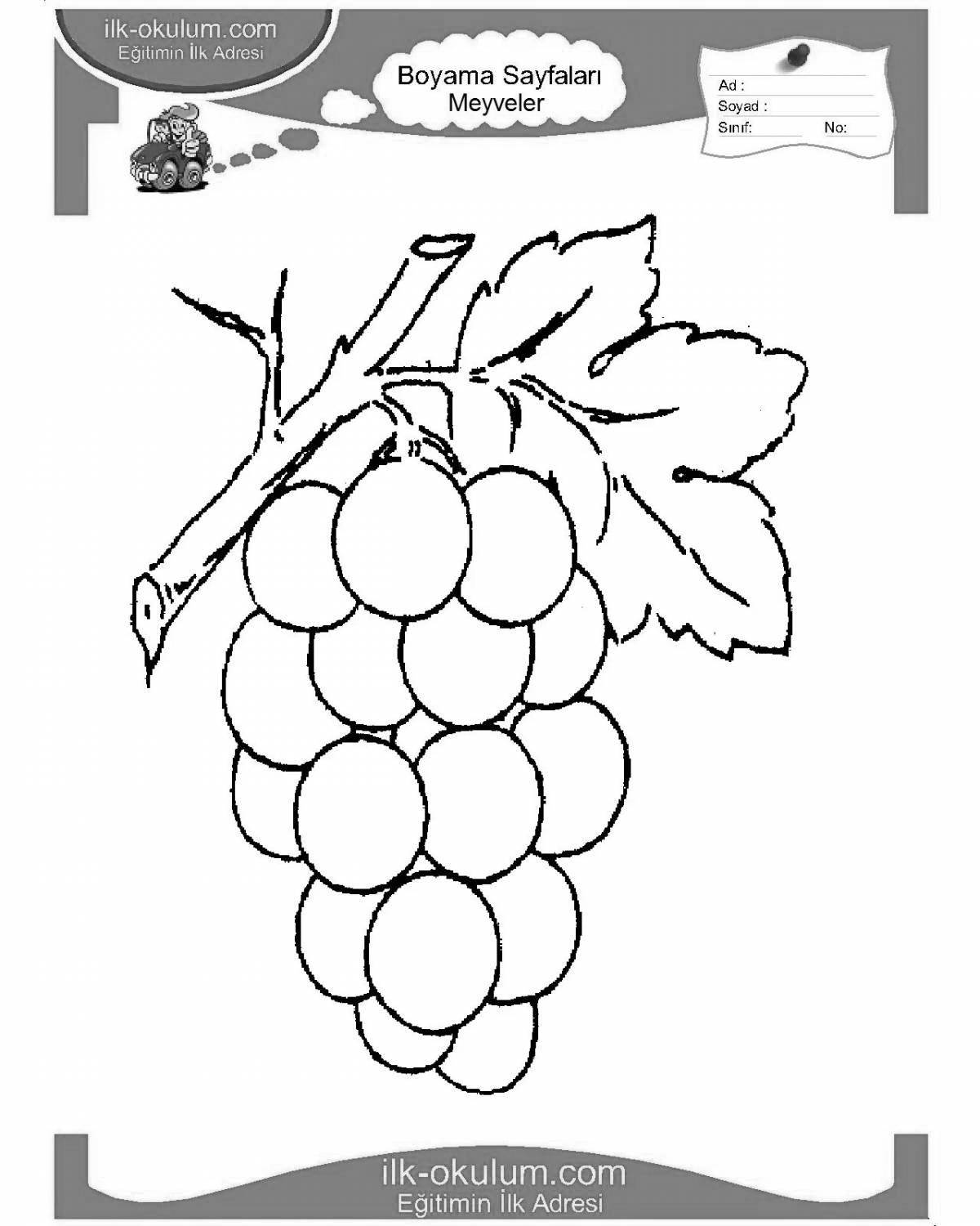 Очаровательная страница раскраски винограда для детей 5-6 лет