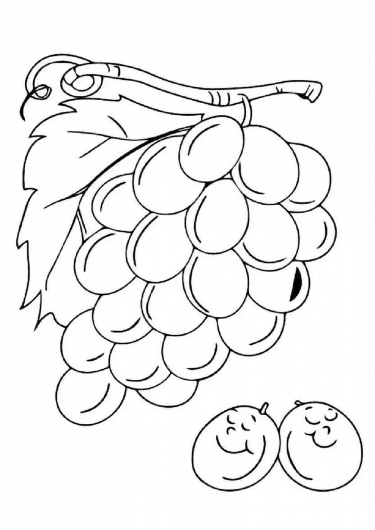Amazing grape coloring pages for 5-6 year olds