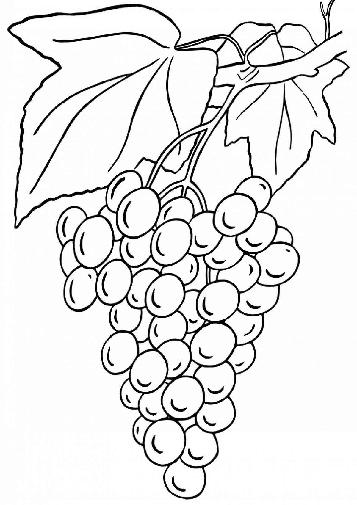 Раскраска «волшебный виноград» для детей 5-6 лет