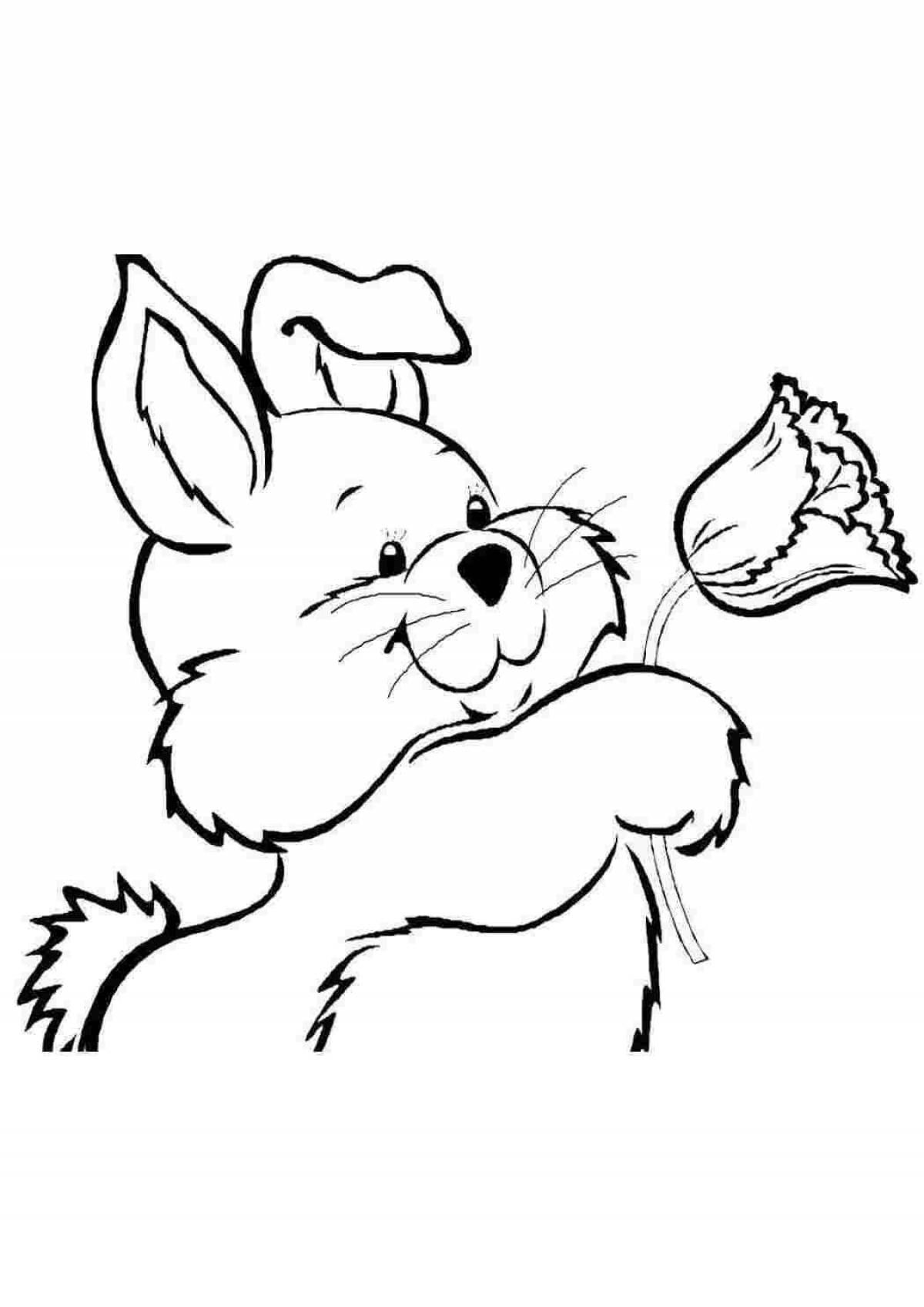Humorous coloring rabbit