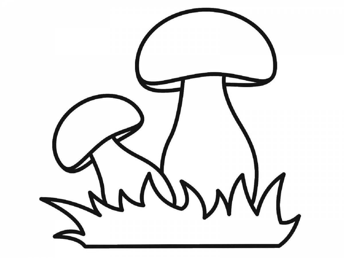 Intriguing mushroom coloring book for 3-4 year olds