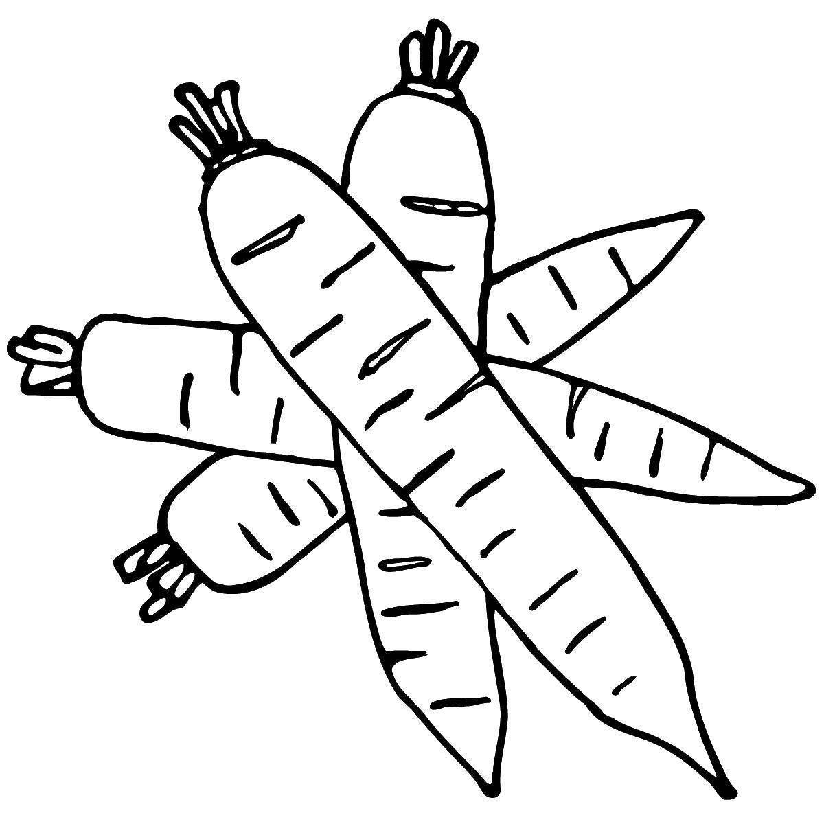 Adorable Carrot Coloring Page for Preschoolers 2-3