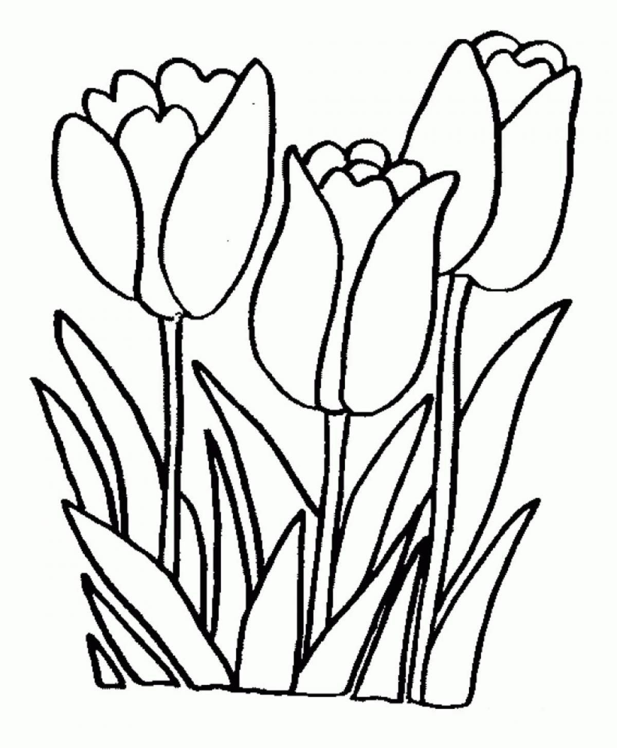 Восхитительные тюльпаны-раскраски для детей 3-4 лет