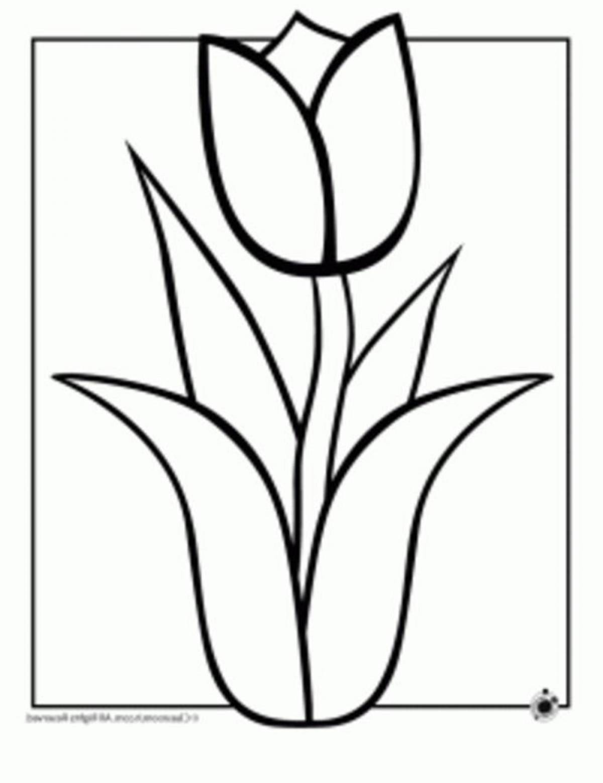 Awesome tulip coloring pages for preschoolers