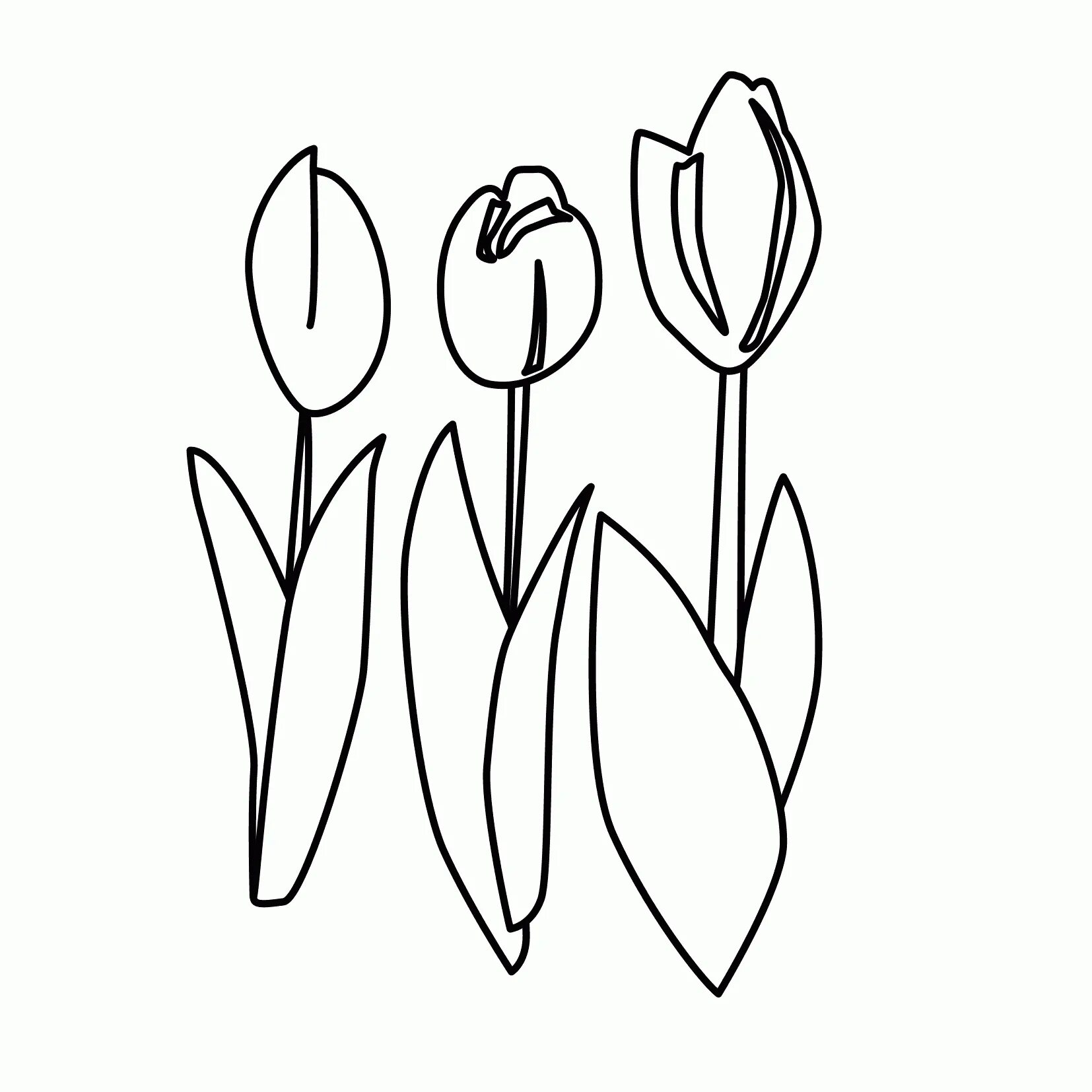 Cute tulips coloring for preschoolers