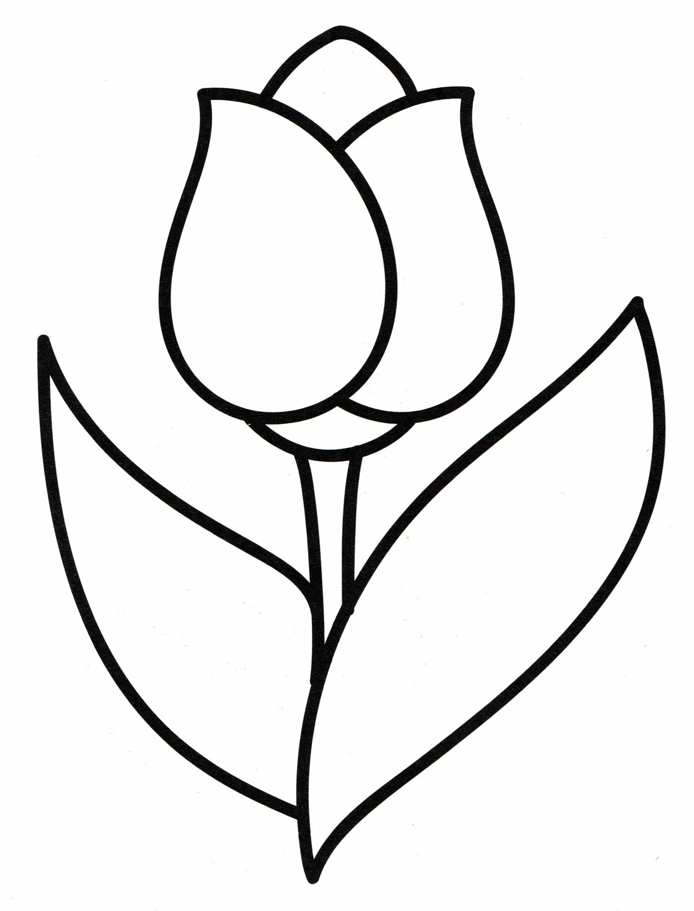 Coloring book shining tulips for children