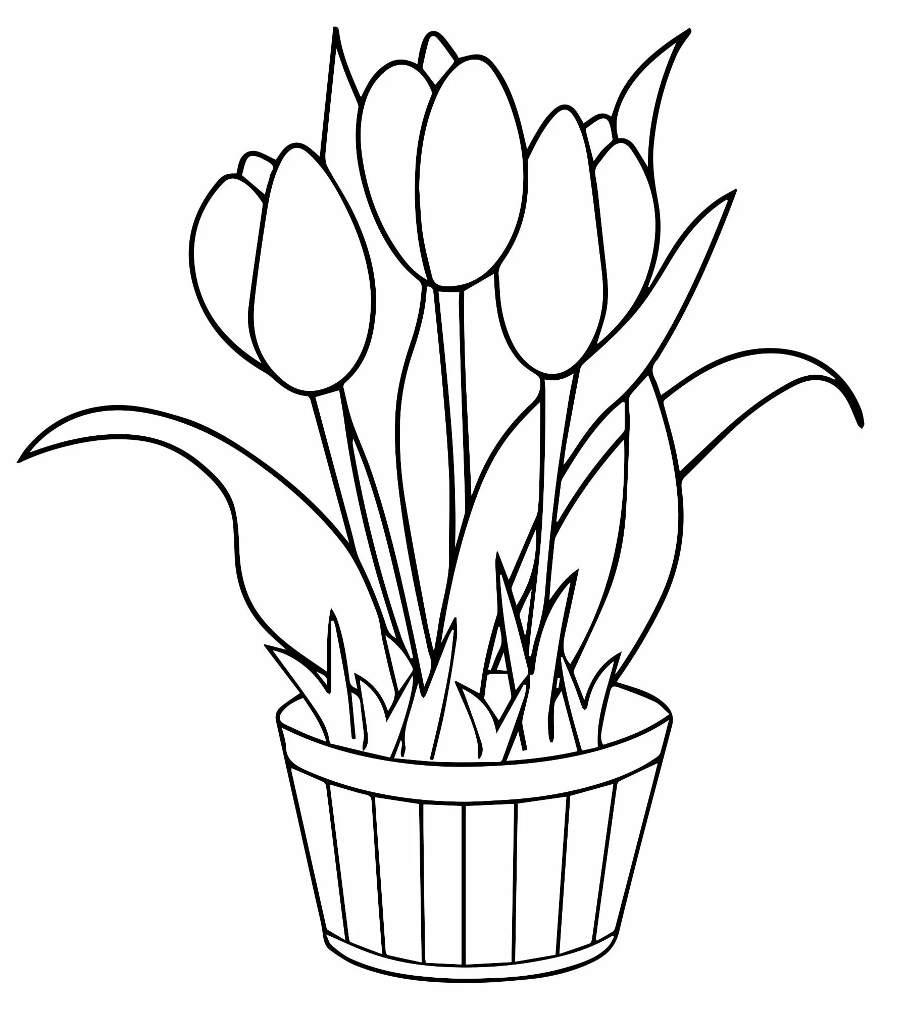Joyful tulips coloring for kids