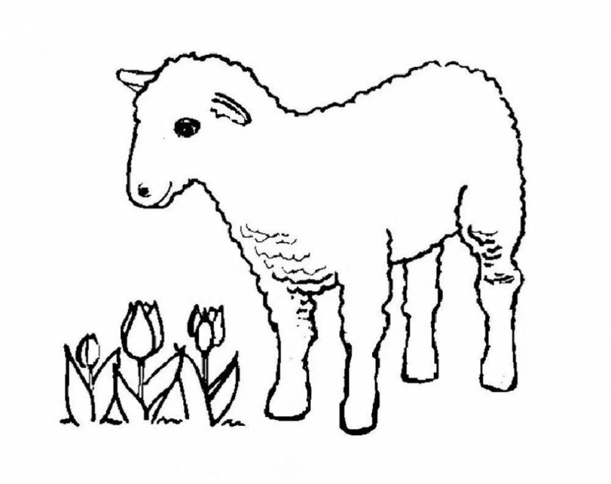 Fun pet coloring pages for preschoolers