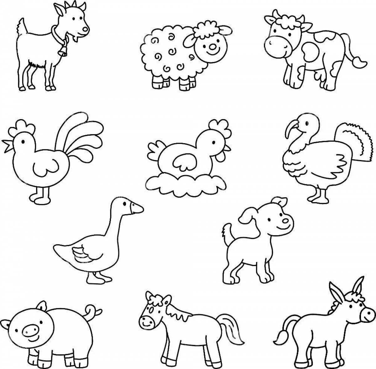 Soft pet coloring pages for preschool children