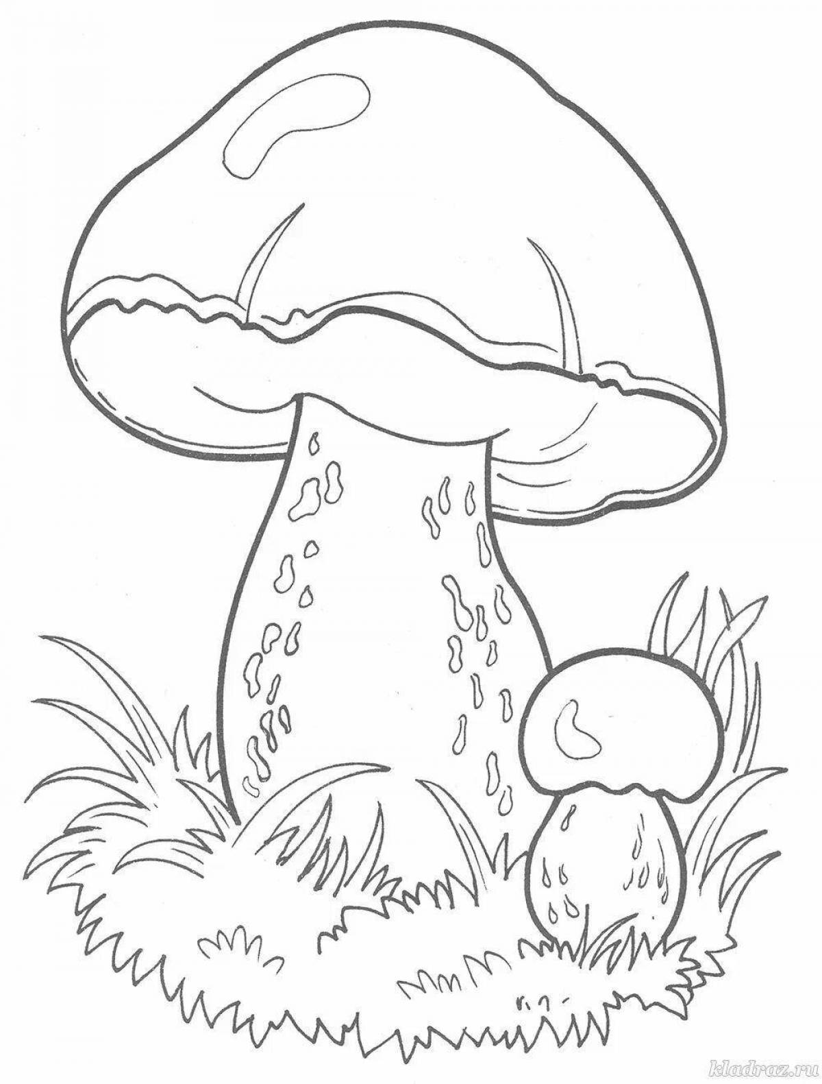 Magic mushroom coloring book for 4-5 year olds