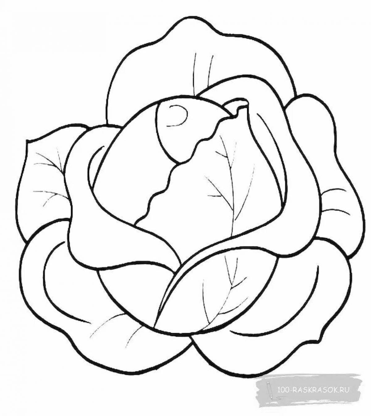 Colorful cabbage coloring page for 3-4 year olds