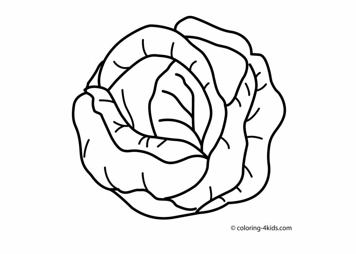 A fun cabbage coloring book for 3-4 year olds