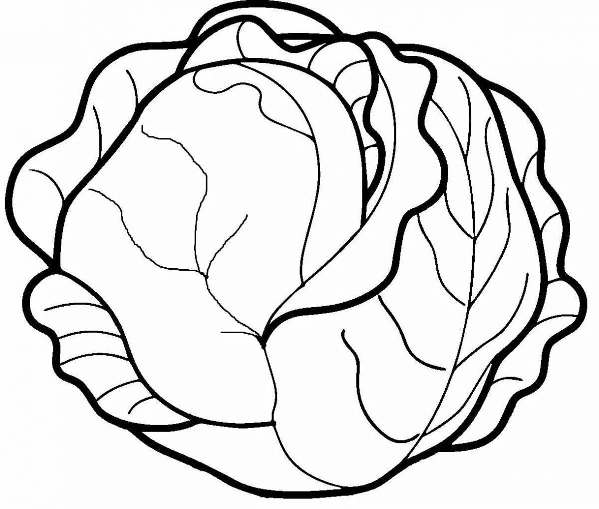 Cabbage coloring book for children 3-4 years old
