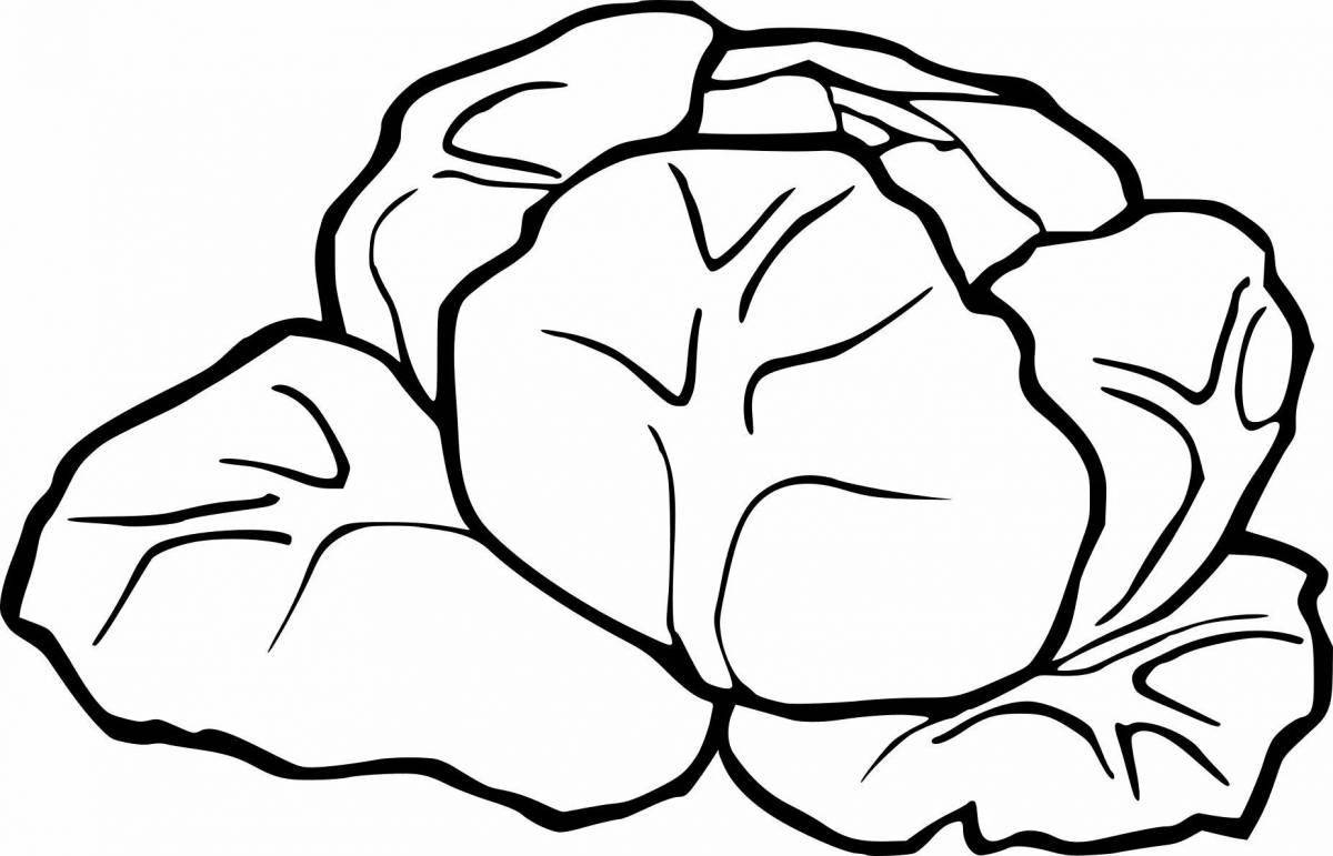 Adorable cabbage coloring book for 3-4 year olds