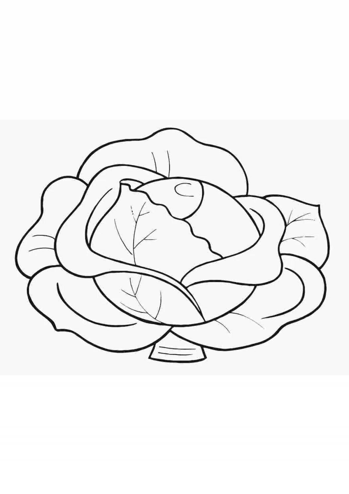 Attractive cabbage coloring book for 3-4 year olds
