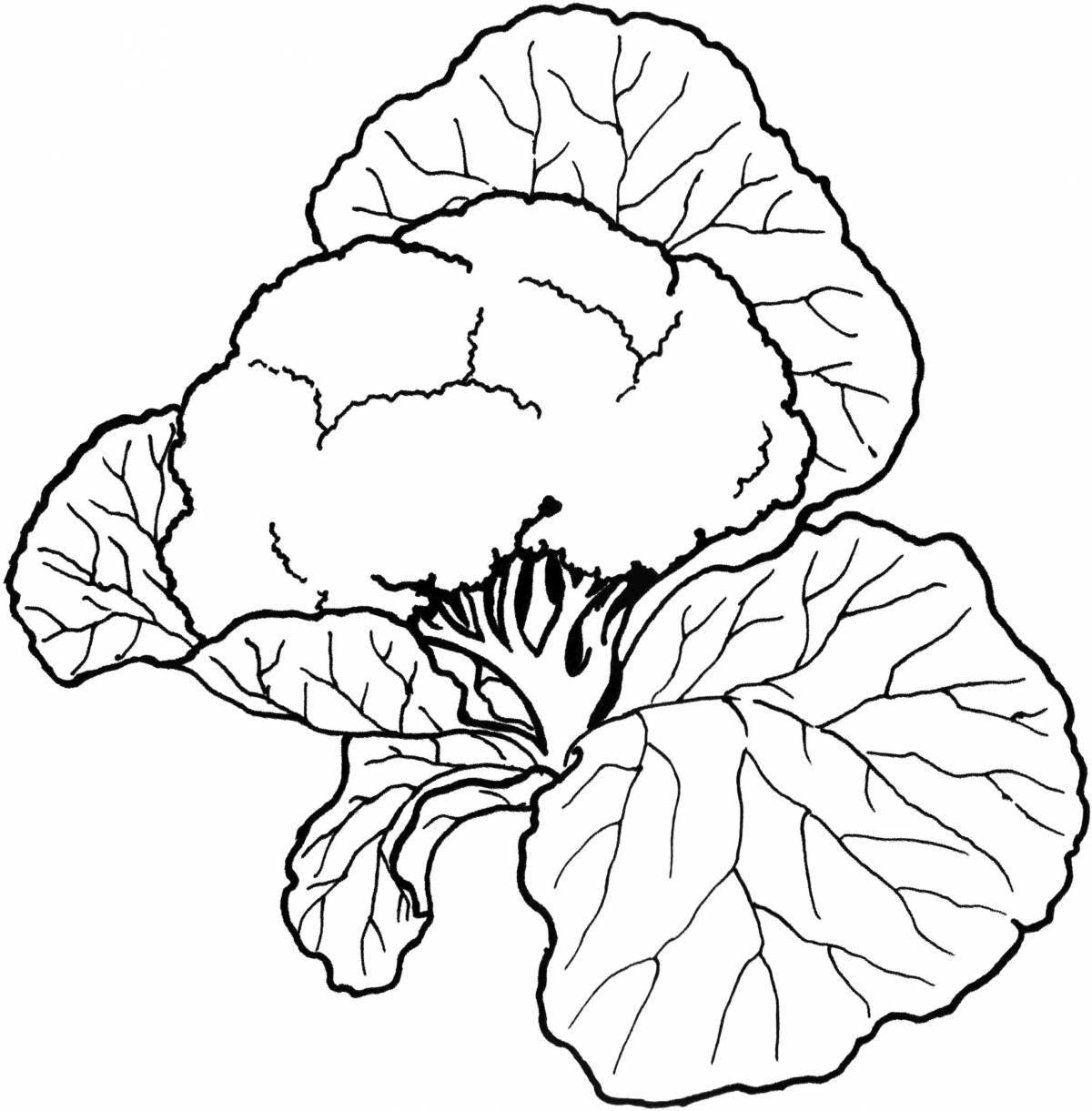 Coloring cute cabbage for children 3-4 years old