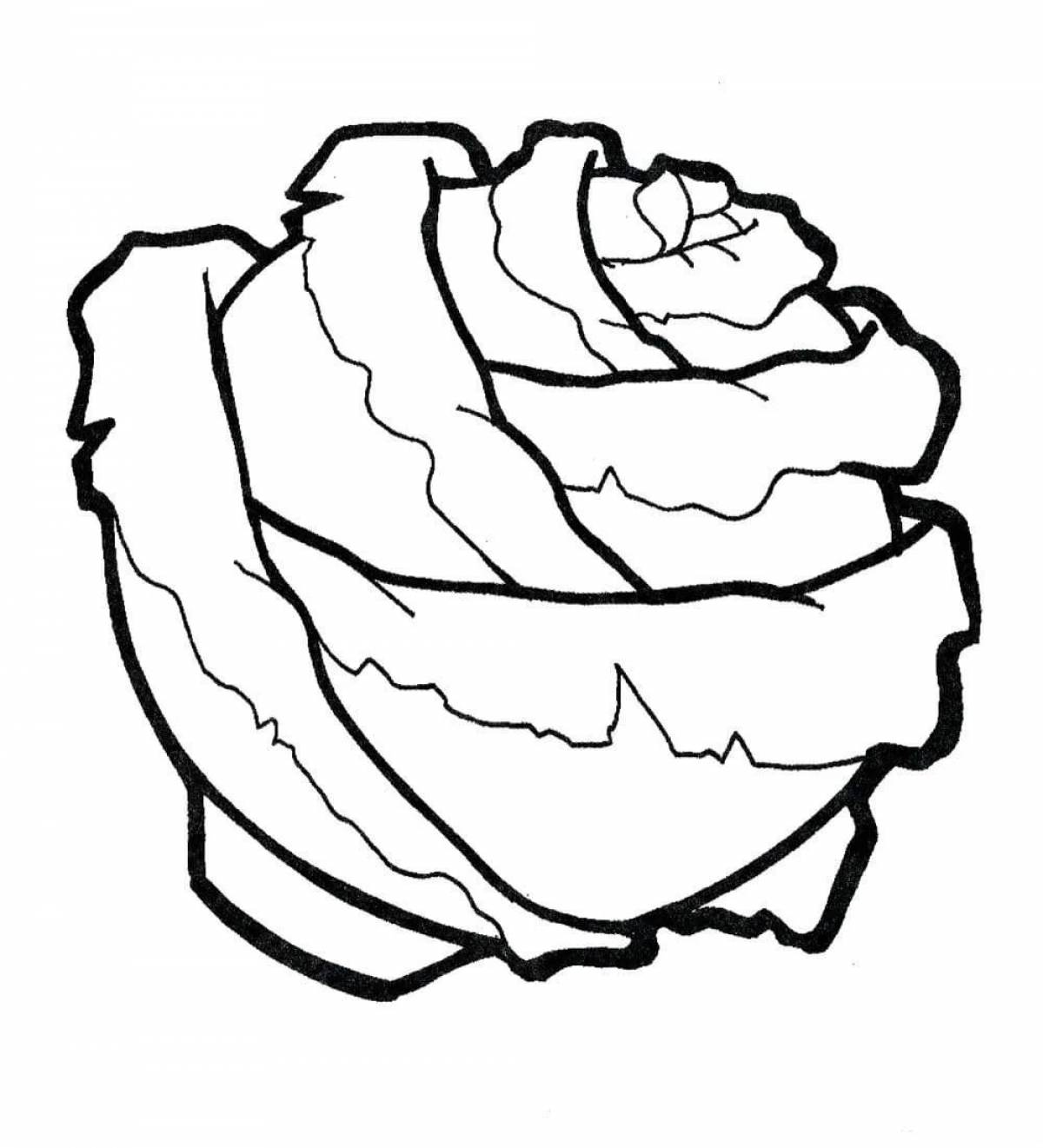 Cute cabbage coloring page for 3-4 year olds