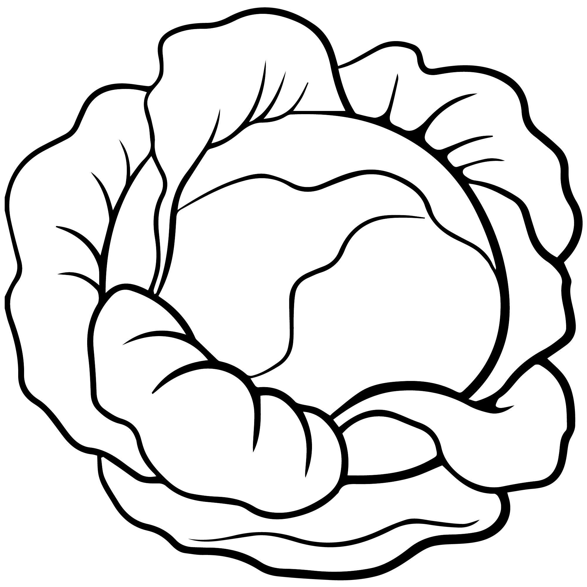 An interesting cabbage coloring book for children 3-4 years old