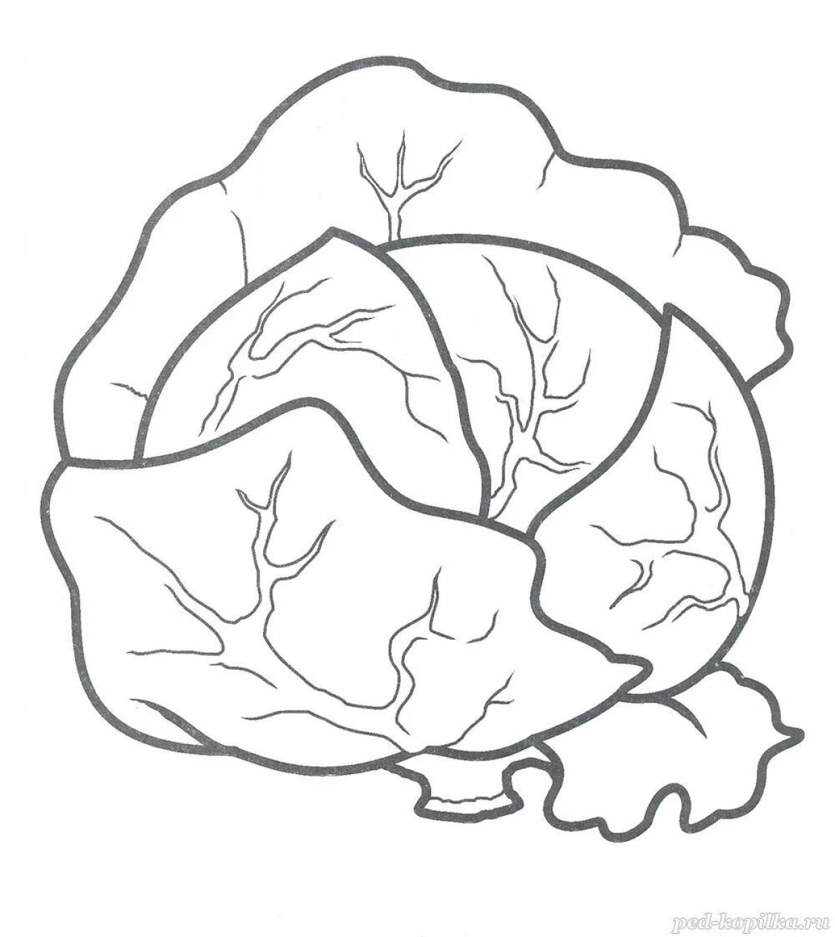 Funny cabbage coloring for 3-4 year olds