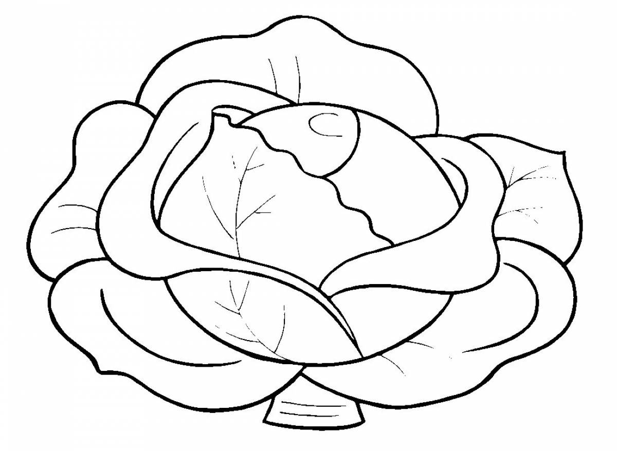 Relaxing cabbage coloring book for 3-4 year olds