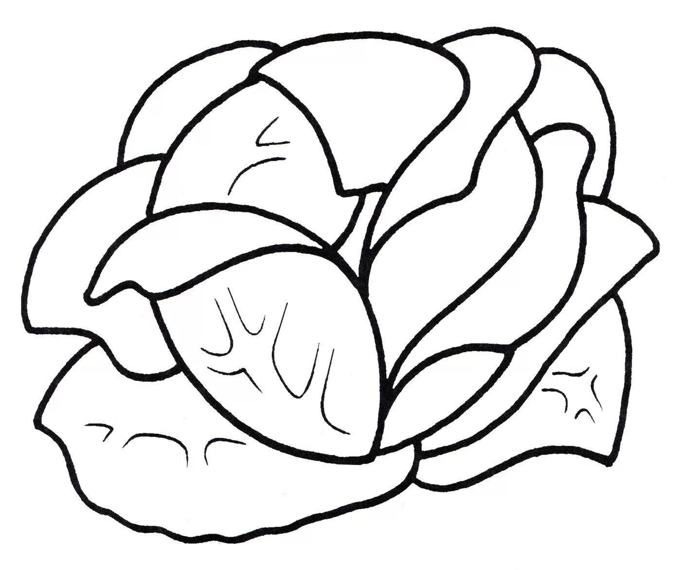 Colouring peaceful cabbage for children 3-4 years old