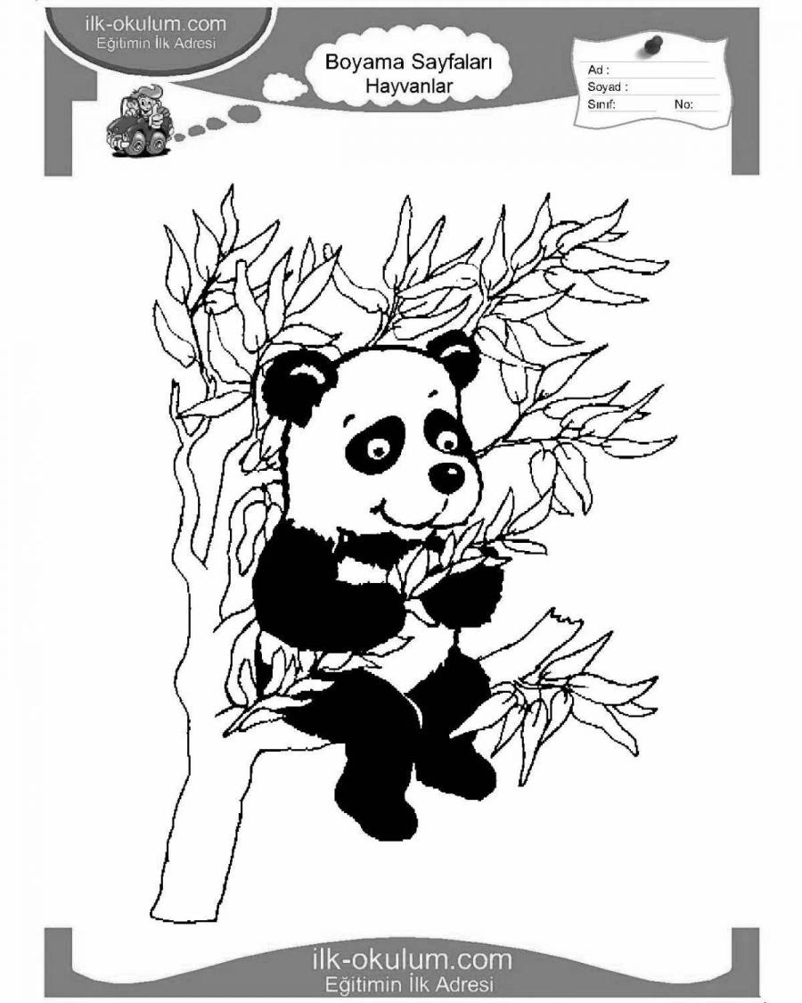 Разрисовка панды
