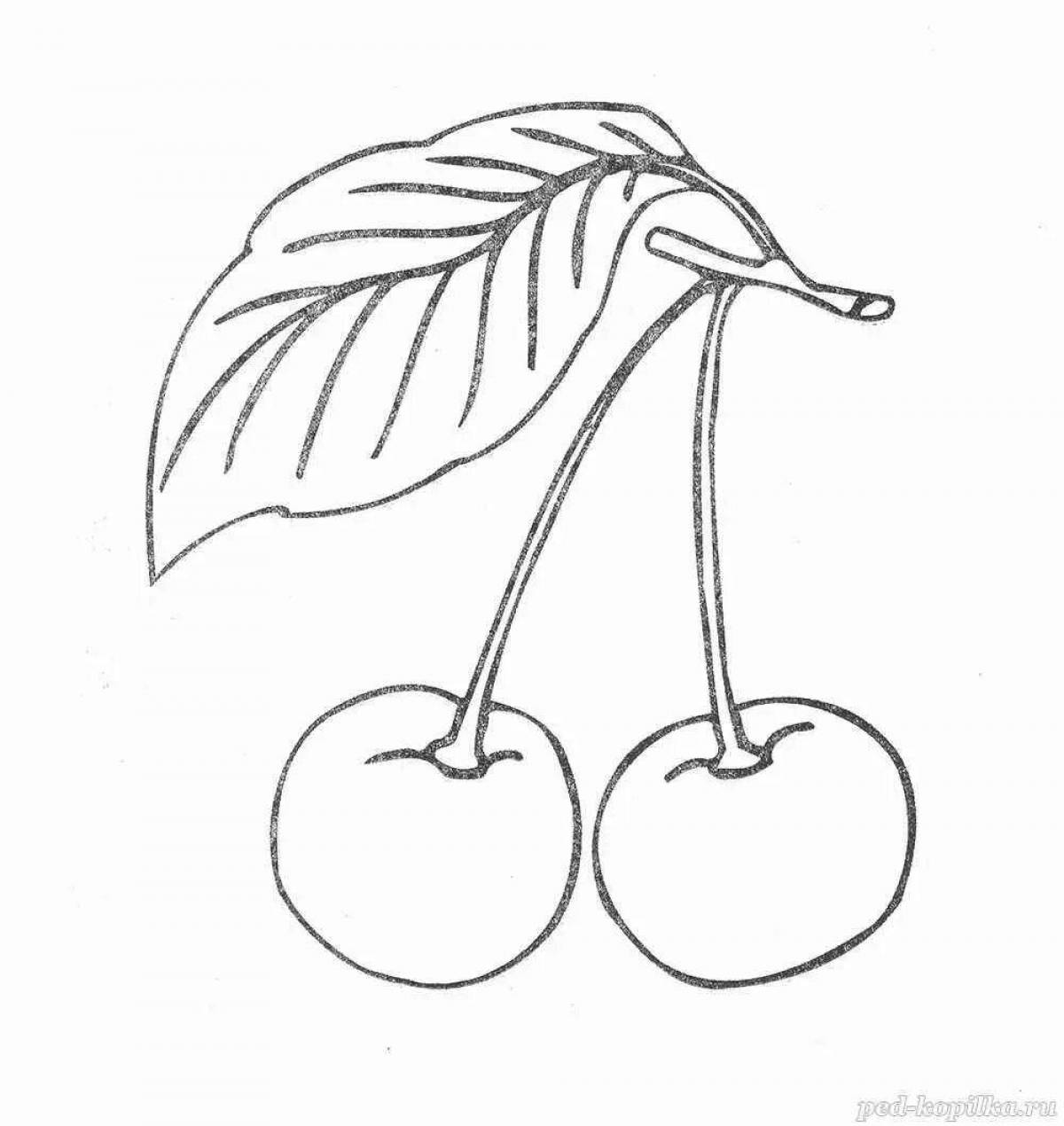Вишенка раскраска. Фрукты. Вишня раскраска для детей. Вишня раскраска для детей. Черешня вектор.