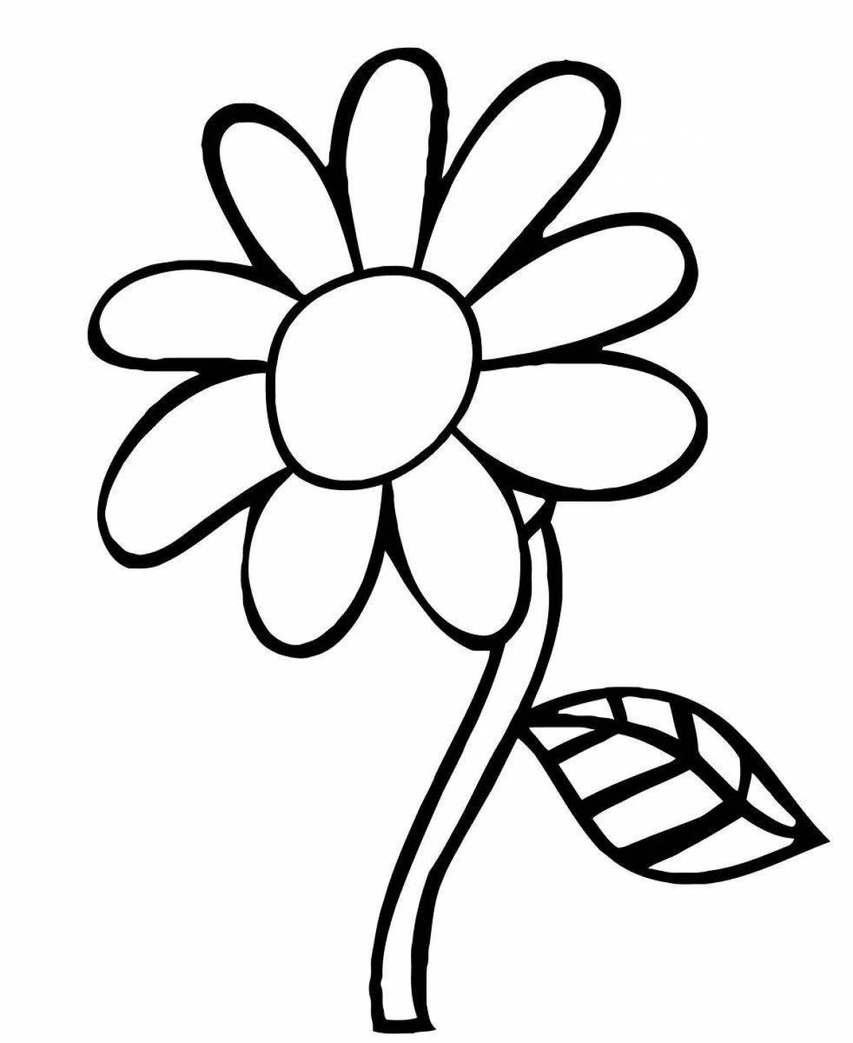 Восхитительная раскраска цветок семицветик для детей 3-4 лет