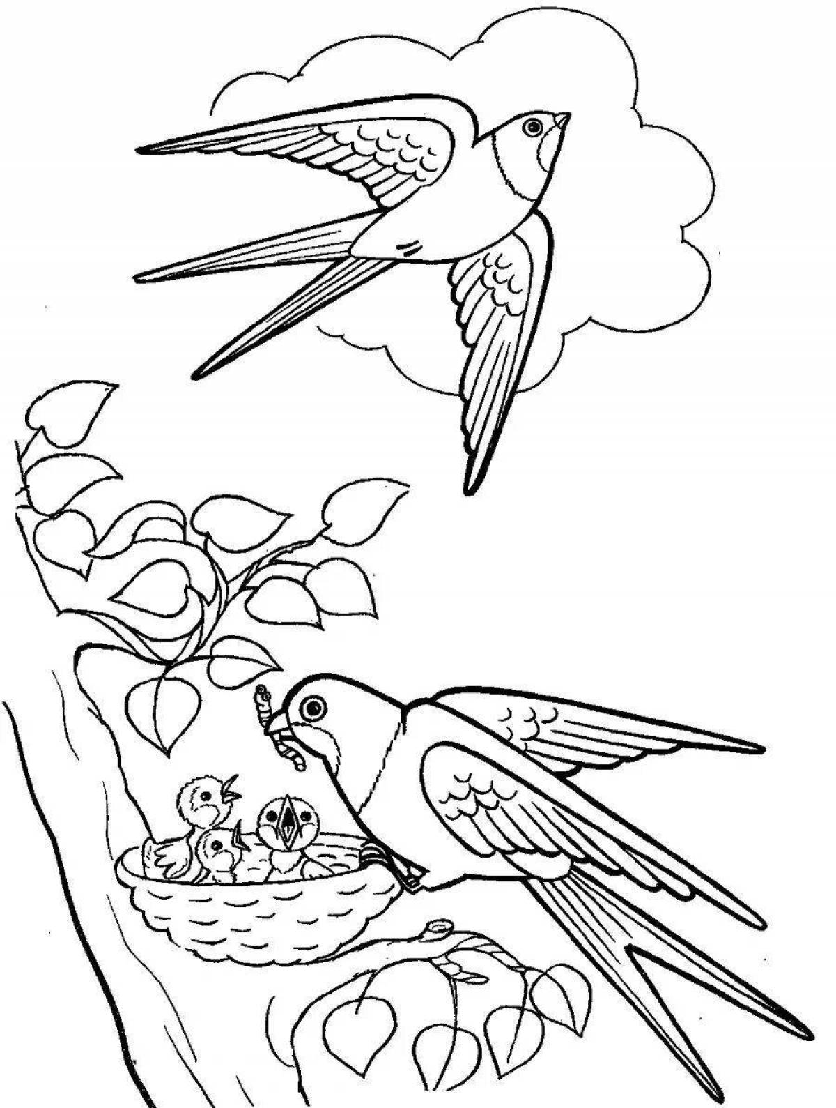 Colorful migratory birds coloring page