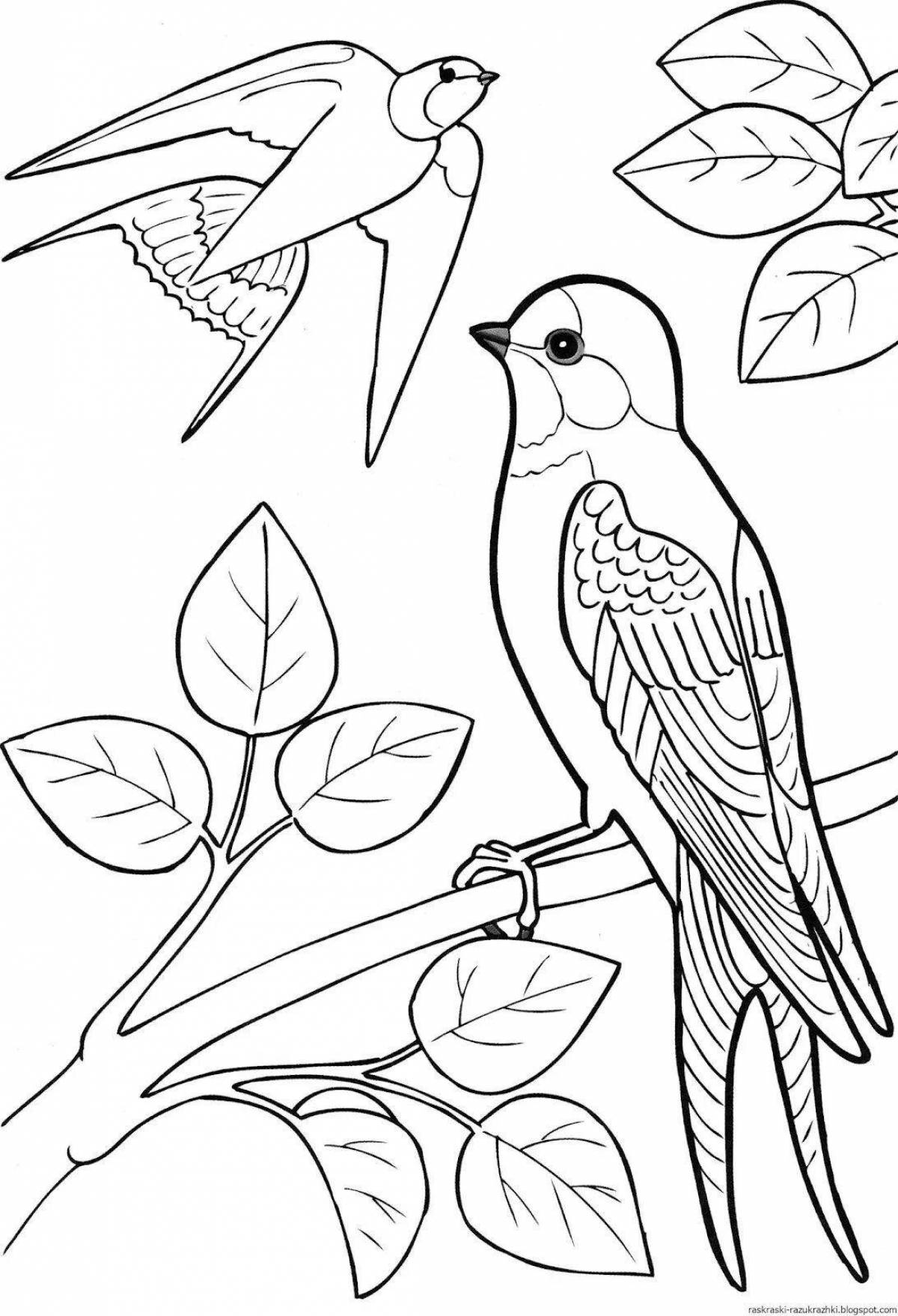 Vibrant coloring page of migratory birds