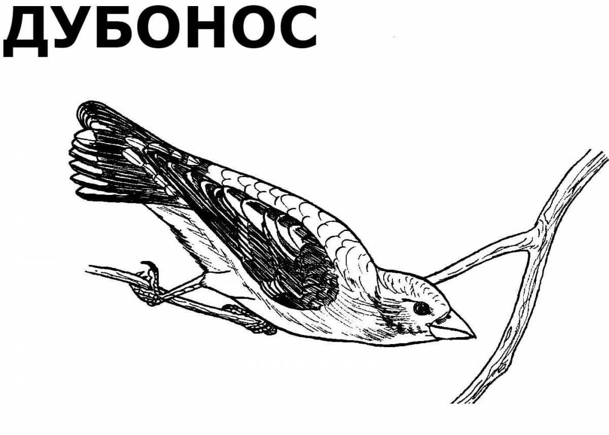 Playful migratory birds coloring page