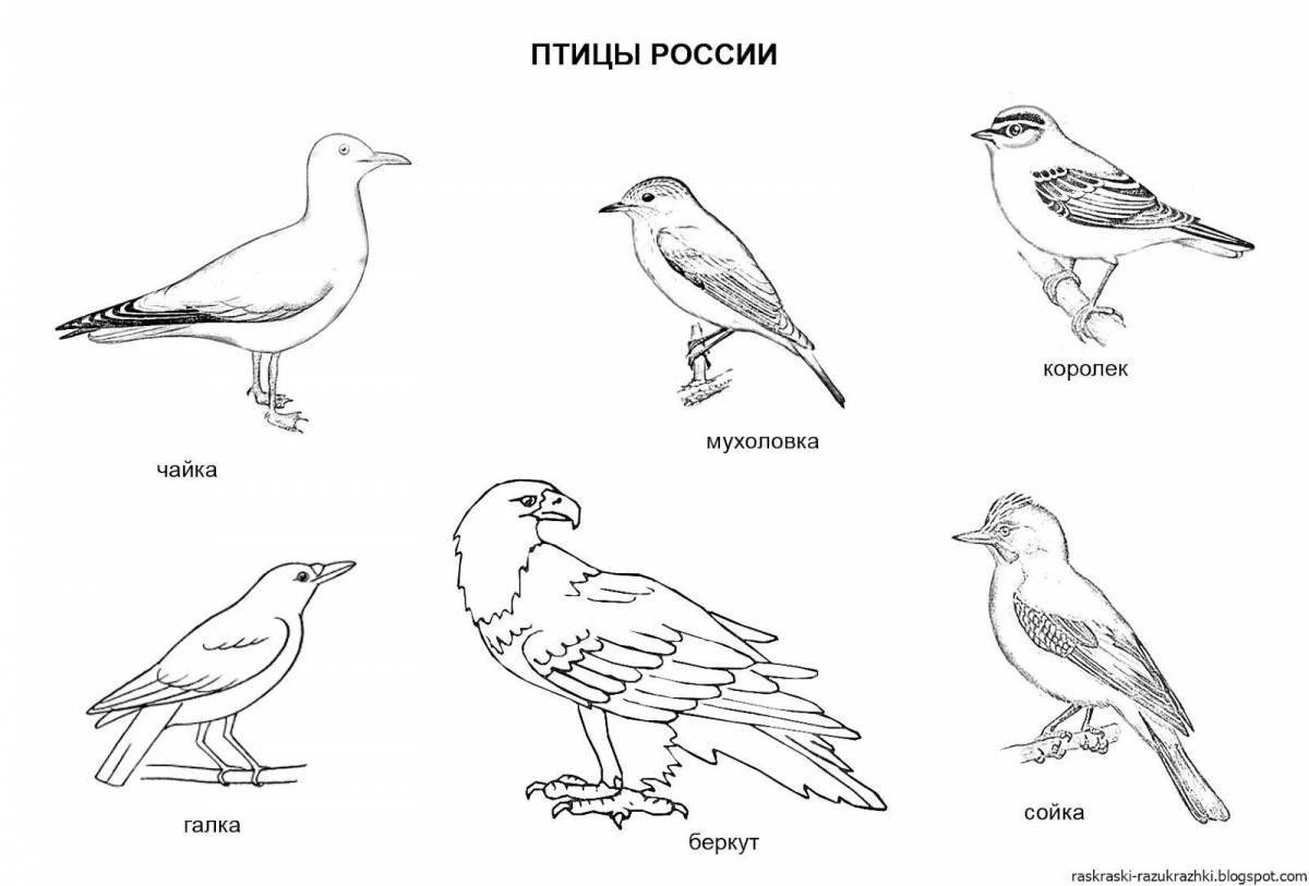 Fun coloring page of migratory birds