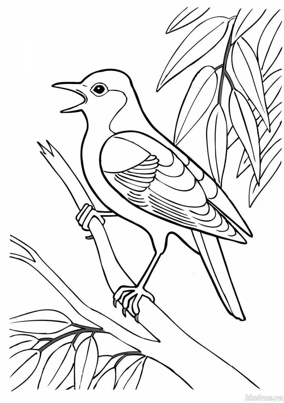 Amazing bird coloring page